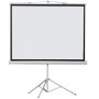 Ecran de projection rouleau 150 x 150 sur pied