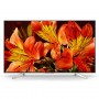 Ecran 55" (140 cm) Sony FW-55BZ35F